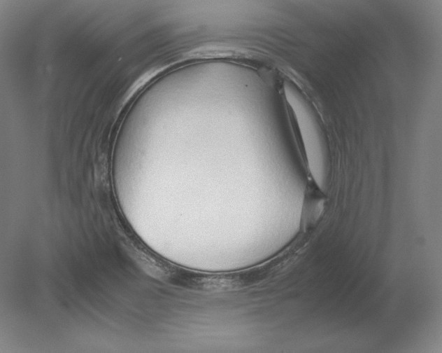 X0000080161465200701051553