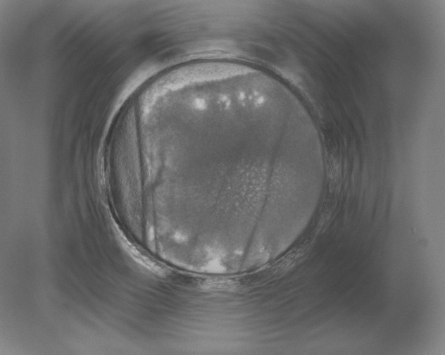 X0000080161466200701051553