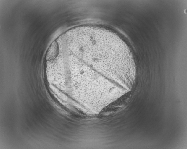 X0000080161467200701051552