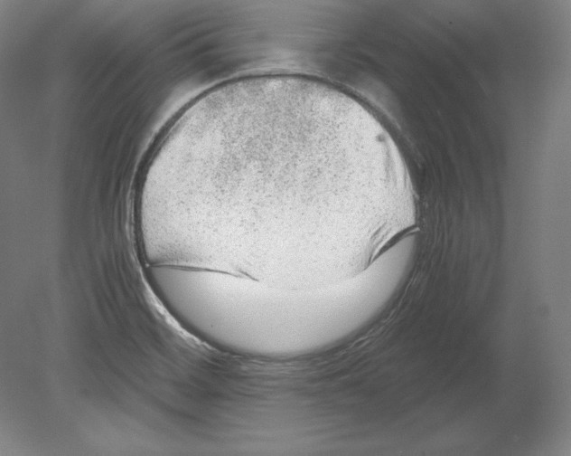 X0000080161468200701051552