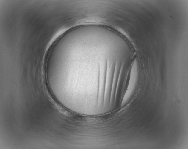 X0000080161469200701051552