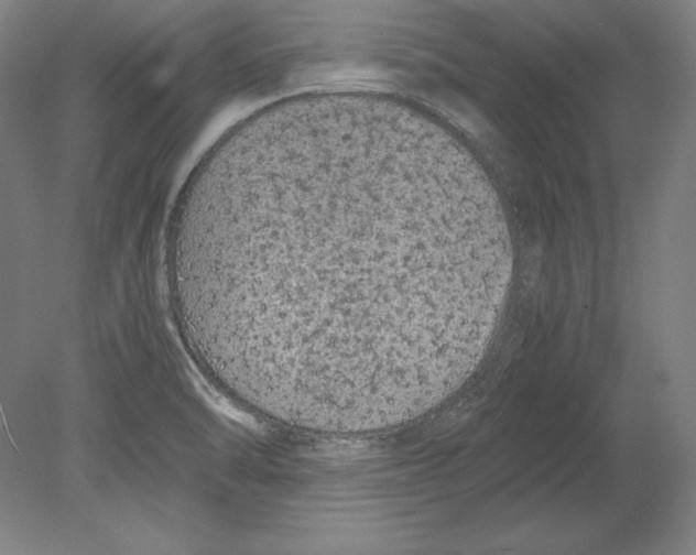 X0000080161470200701051552