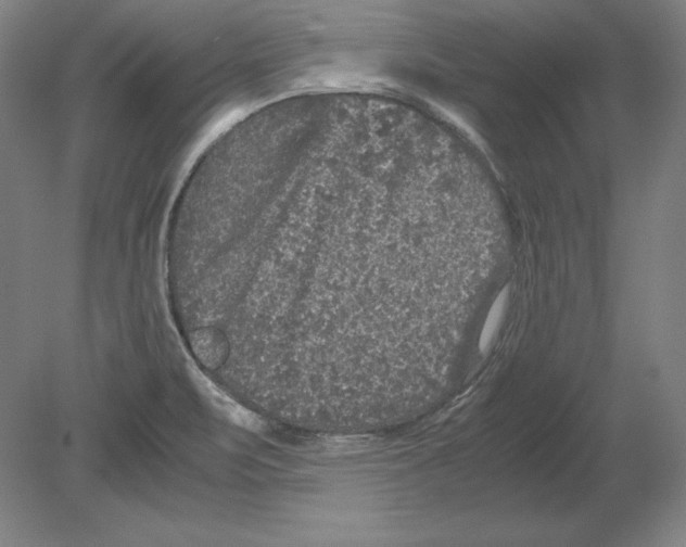 X0000080161471200701051552