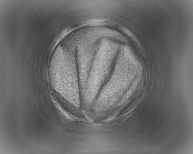 X0000080161473200701051552