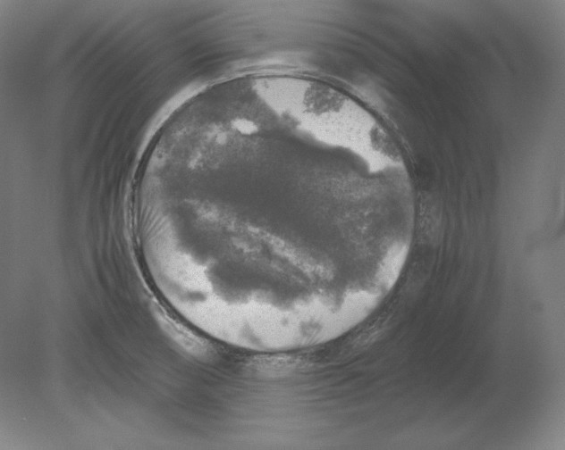 X0000080161474200701051552