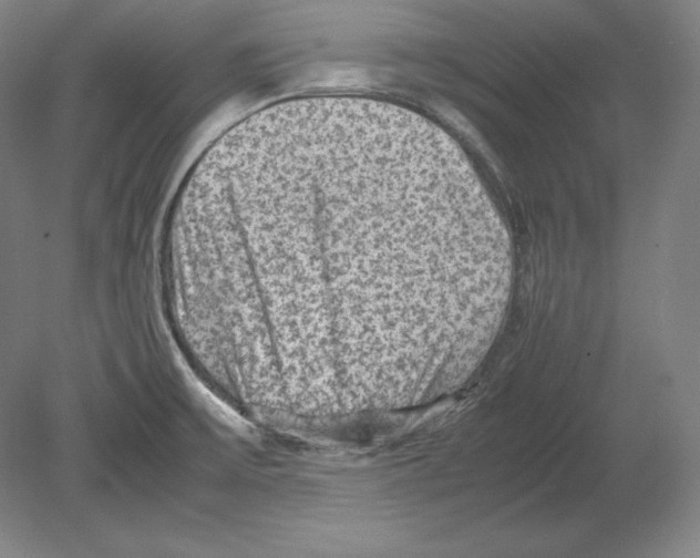 X0000080161475200701051552