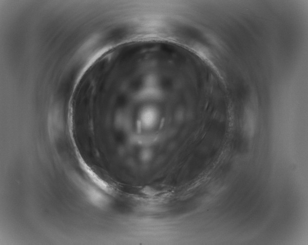 X0000080161476200701051552