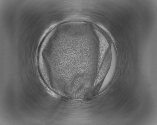 X0000080161477200701051552