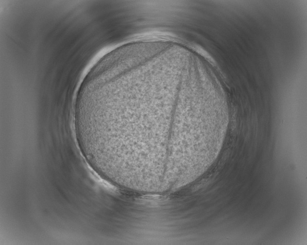 X0000080161478200701051552