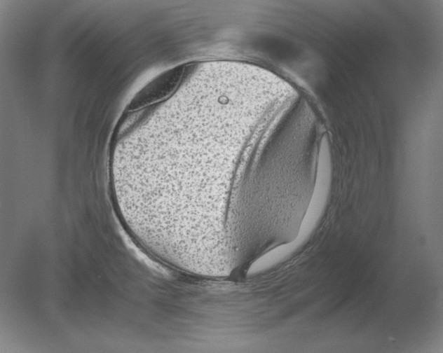 X0000080161479200701051552