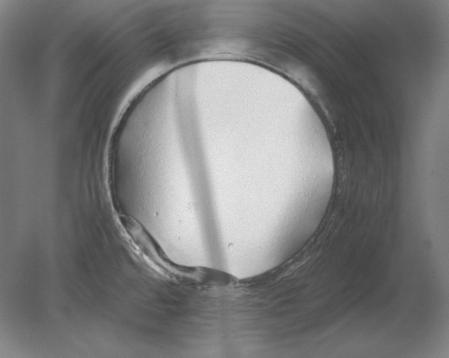 X0000080161480200701051552