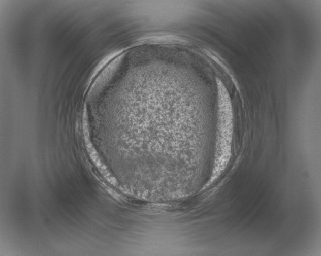 X0000080161481200701051552