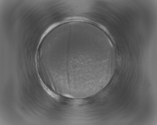 X0000080161482200701051552