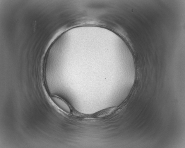 X0000080161483200701051552