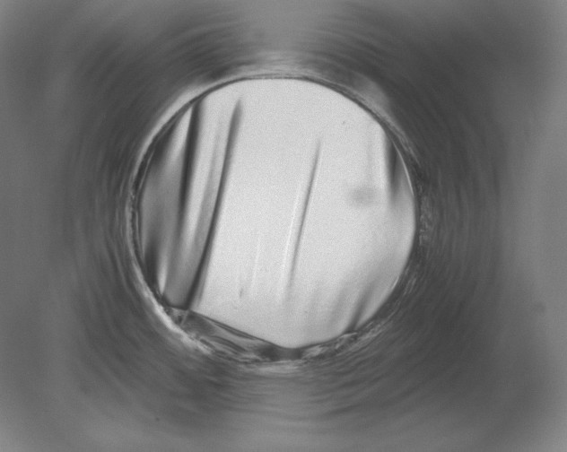 X0000080161484200701051552