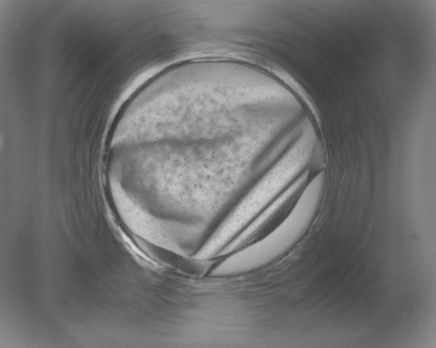 X0000080161485200701051552