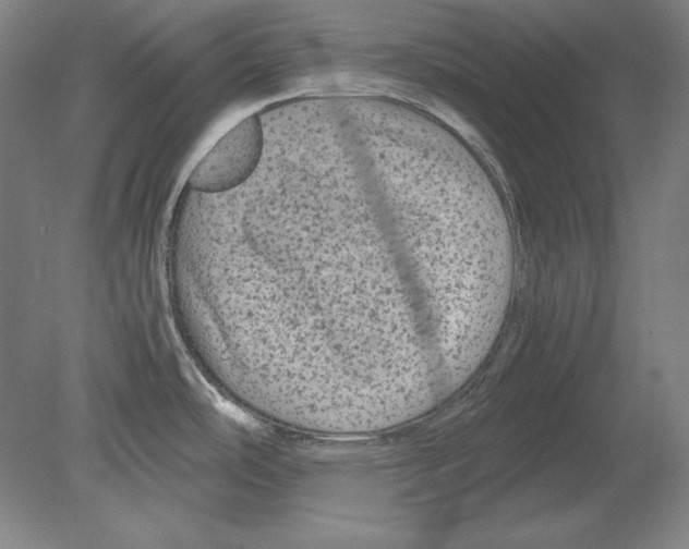 X0000080161486200701051552