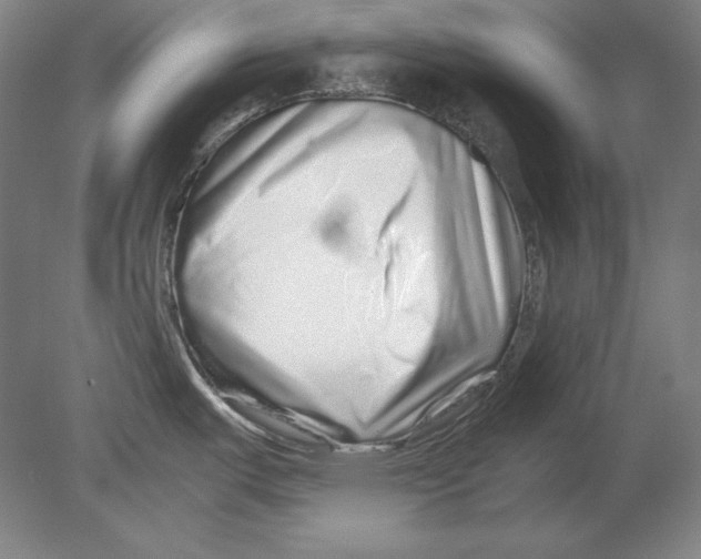 X0000080161487200701051552