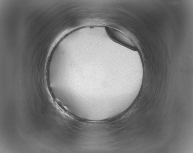 X0000080161488200701051552