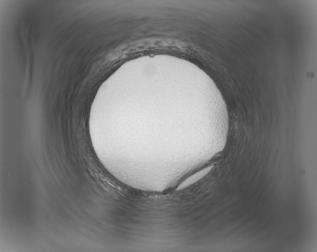 X0000080161489200701051551