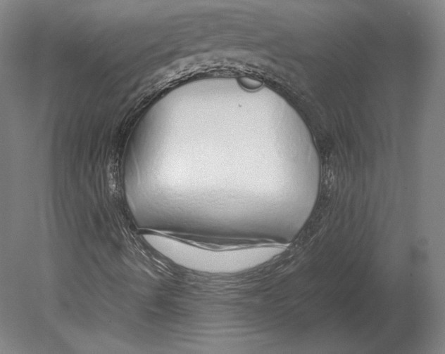 X0000080161490200701051551