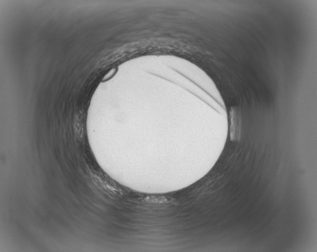 X0000080161491200701051551