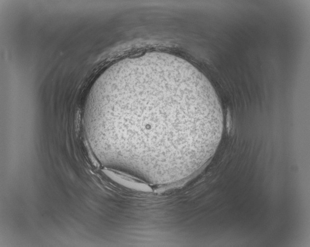 X0000080161492200701051551