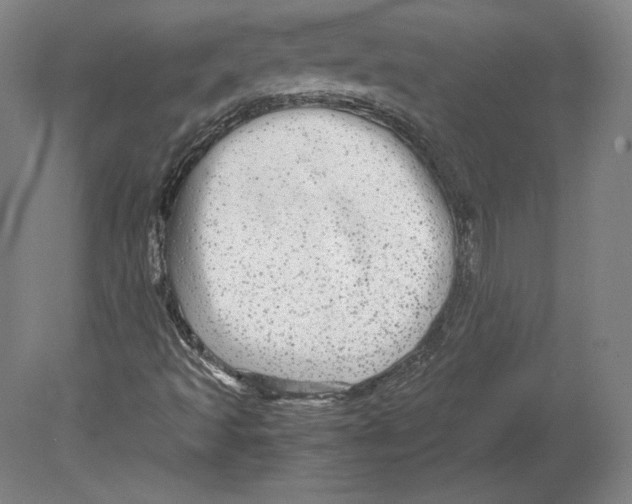 X0000080161493200701051551