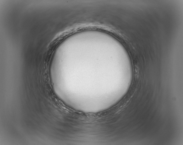 X0000080161494200701051551