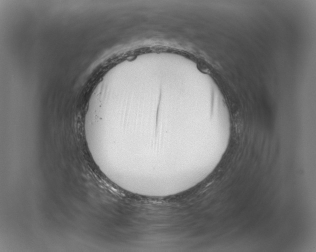 X0000080161495200701051551