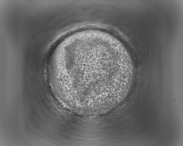 X0000080161496200701051551