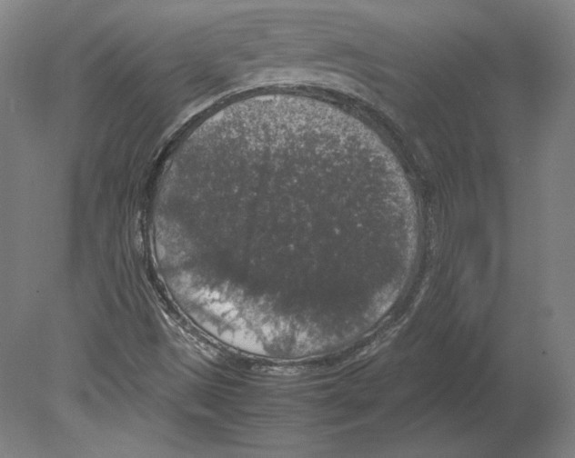 X0000080161497200701051551