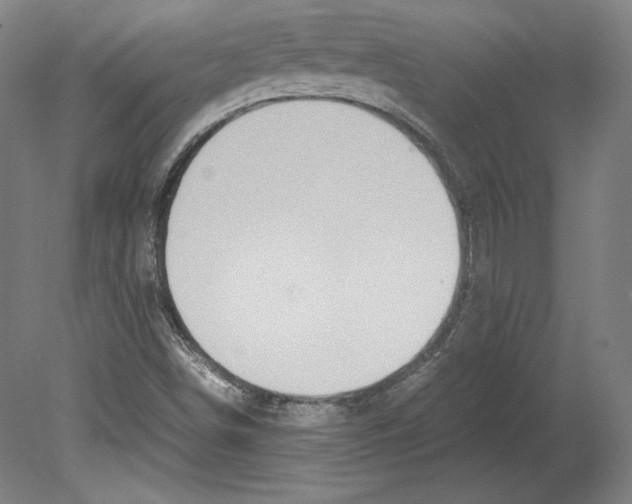 X0000080161498200701051551