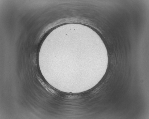 X0000080161499200701051551