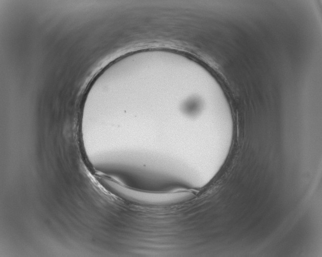 X0000080161500200701051552