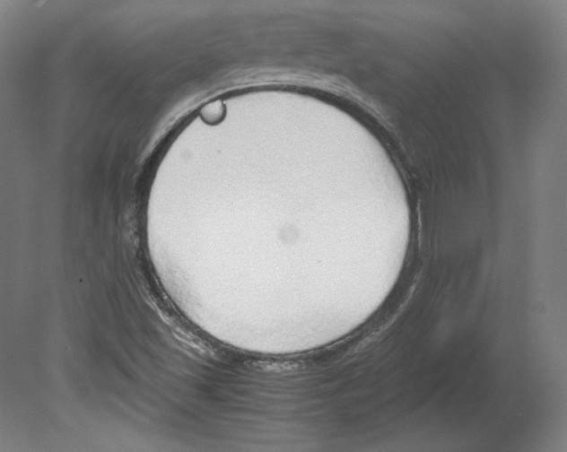 X0000080161501200701051552