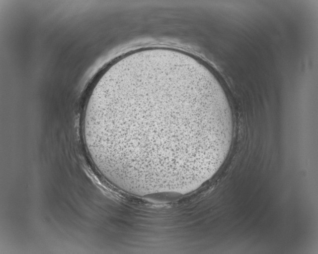 X0000080161503200701051552