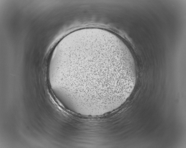 X0000080161504200701051552