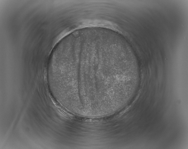 X0000080161505200701051552