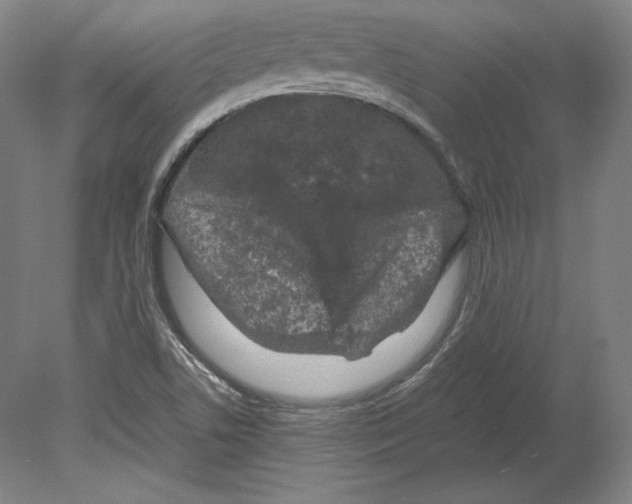 X0000080161506200701051552