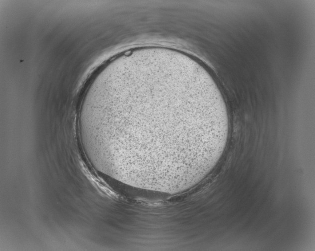 X0000080161507200701051552