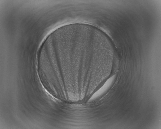 X0000080161508200701051552