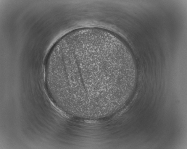 X0000080161509200701051552