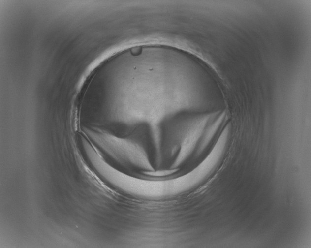 X0000080161510200701051552