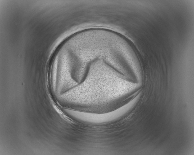 X0000080161511200701051552