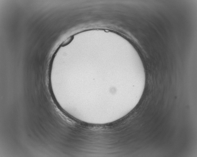 X0000080161512200701051552