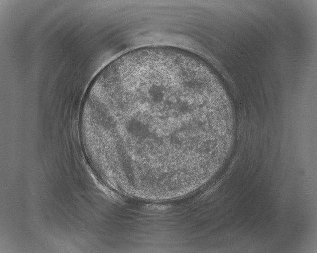 X0000080161513200701051552