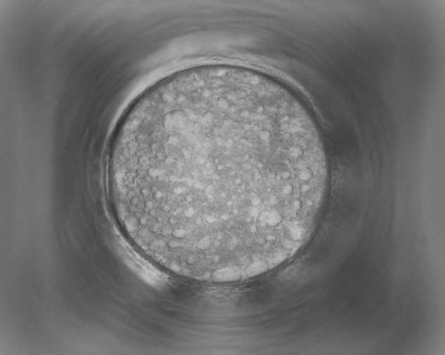 X0000080161514200701051552