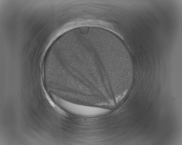 X0000080161515200701051552