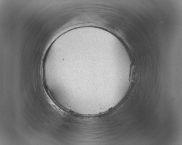 X0000080161516200701051552